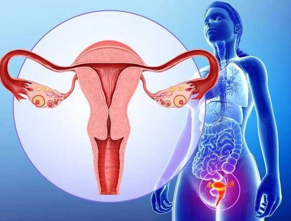 试管代孕的看法-成都代孕全过程
